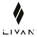 Логотип бренда Livan #2